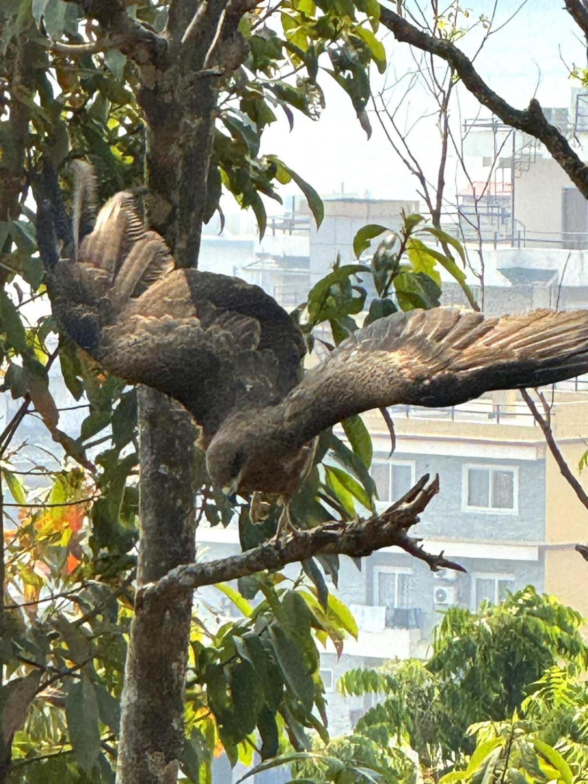 Hotel Tourist Residency Pokhara Zewnętrze zdjęcie